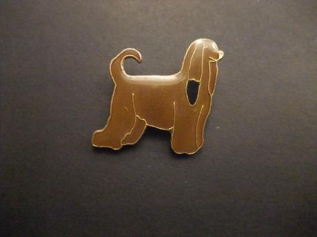 Afghaanse windhond ( waakhond) bruin
